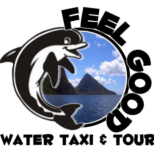 Feel Good Water Taxi & Tours Feel Good Water Taxi & Tours