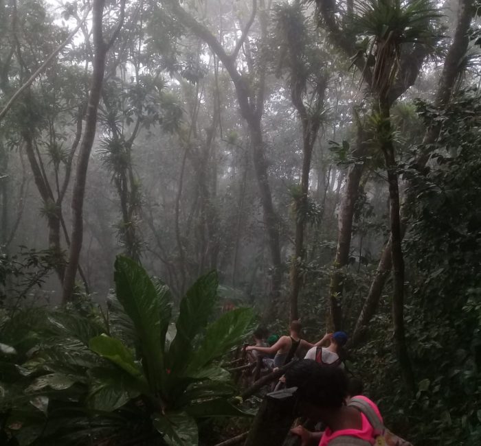 piton 2