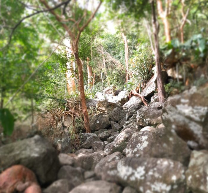 piton 3